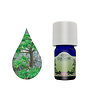 Lakshmi Angelica Root - Etherische Olie Lakshmi Angelica Root - Etherische Olie
