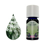 Lakshmi Tea Tree - Etherische Olie Lakshmi Tea Tree - Etherische Olie
