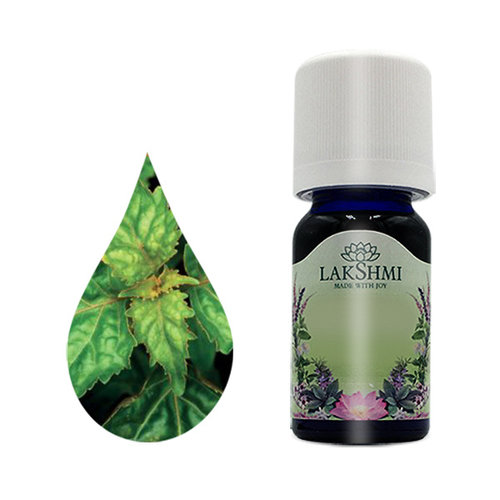 Lakshmi Patchouli - Etherische Olie Lakshmi Patchouli - Etherische Olie