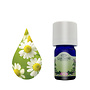 Lakshmi Kamille Blauw - Etherische Olie Lakshmi Kamille Blauw - Etherische Olie