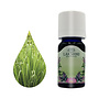 Lakshmi Lemongrass - Etherische Olie Lakshmi Lemongrass - Etherische Olie