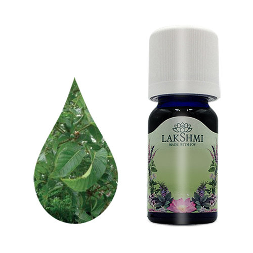 Lakshmi Elemi - Etherische Olie Lakshmi Elemi - Etherische Olie