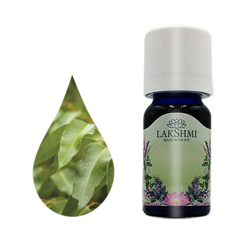 Lakshmi Eucalyptus Radiata - Etherische Olie Lakshmi Eucalyptus Radiata - Etherische Olie