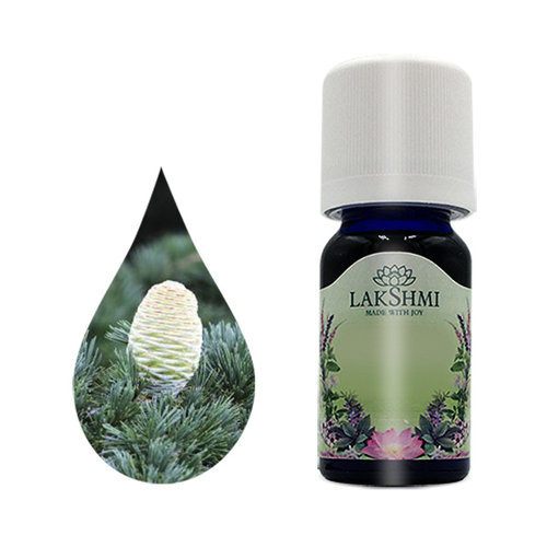 Lakshmi Ceder Himalaya - Etherische Olie Lakshmi Ceder Himalaya - Etherische Olie