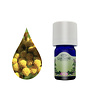 Lakshmi Helichrysum - Etherische Olie Lakshmi Helichrysum - Etherische Olie