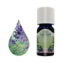 Lakshmi Lavendel, Spike - Etherische Olie Lakshmi Lavendel, Spike - Etherische Olie