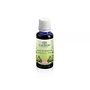 Lakshmi Oriental Sun - Sinergy Etherische Olie Lakshmi Oriental Sun - Sinergy Etherische Olie