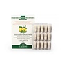 Lakshmi Grapefruit Seed Extract & Triphala - Capsules Lakshmi Grapefruit Seed Extract & Triphala - Capsules
