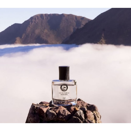 Fiilit SAMPLE | Parfum Testerspray 2ml - Mushussu Babylonia