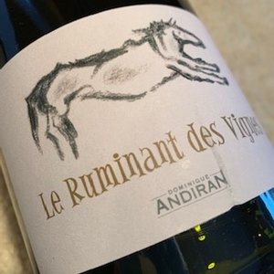 Dominique Andiran Ruminant des Vignes