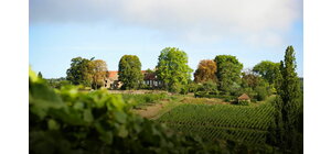 Chateau de Rougeon