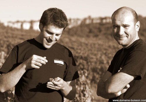 Domaine Henri & Gilles Buisson