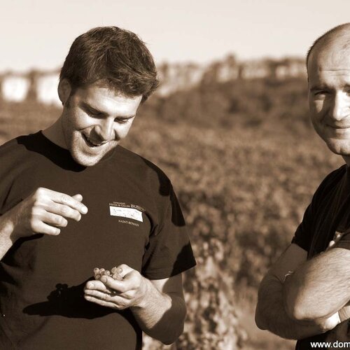Domaine Henri & Gilles Buisson