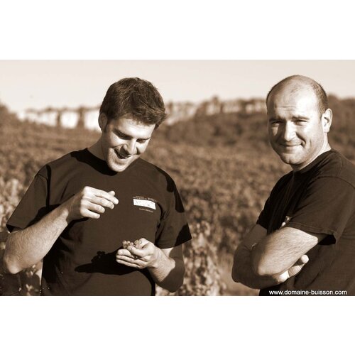 Domaine Henri & Gilles Buisson