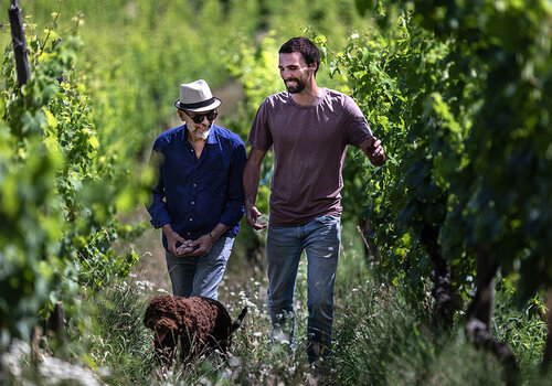 Domaine Ostertag