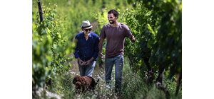 Domaine Ostertag