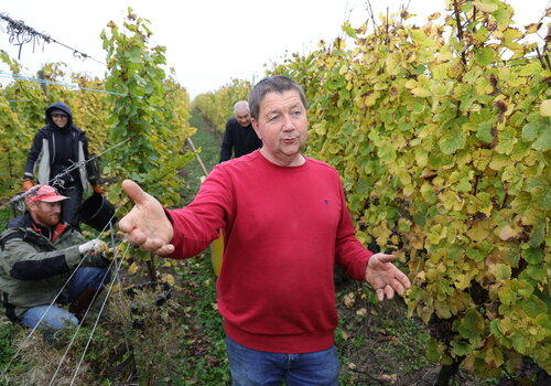 Domaine Rolly-Gassmann