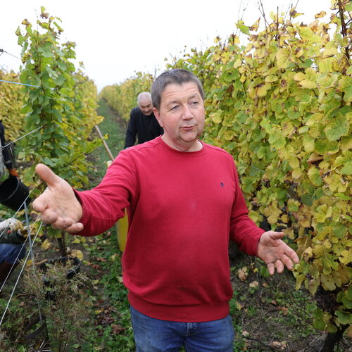 Domaine Rolly-Gassmann