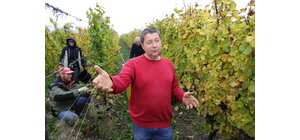 Domaine Rolly-Gassmann