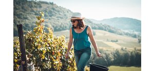 Domaine Berthet-Bondet
