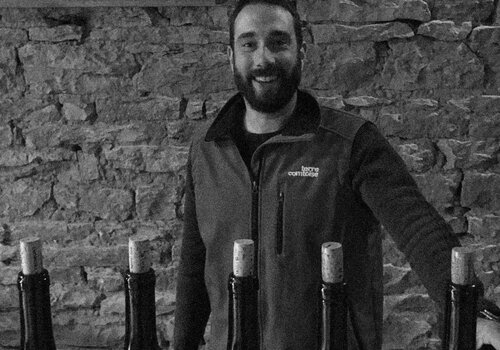 Domaine des Marnes Blanches