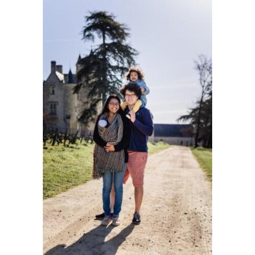 Chateau de Coulaine