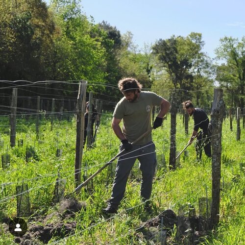 Domaine de la Pointe