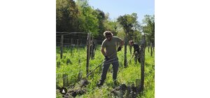 Domaine de la Pointe