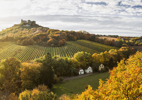 Weinviertel