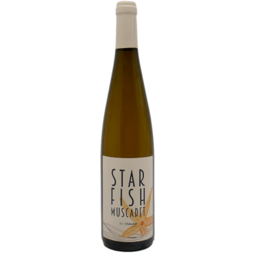 Eric Chevalier Starfish