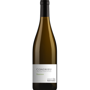 Guy Bernard Condrieu Bassenon