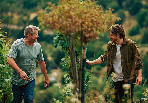 Weingut Beurer