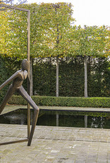 GUY BUSEYNE INTO FREEDOM - BRONZEN BEELD