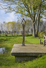 ANN VRIELINCK CLOUD CATCHING - BRONZEN BEELD