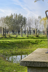 ANN VRIELINCK MOON STARING- BRONZEN BEELD