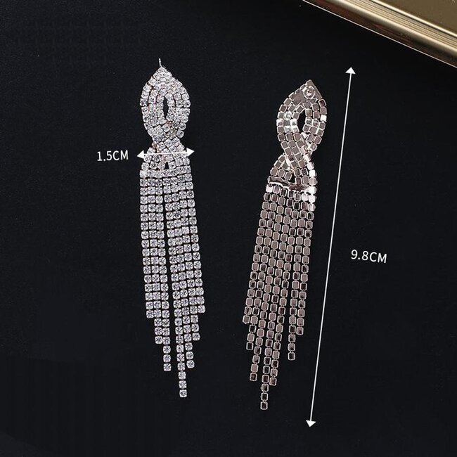 Silberne Ohrringe mit Strass-Quasten