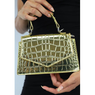 NEW2607 Goldene Retro-Tasche mit Klappe