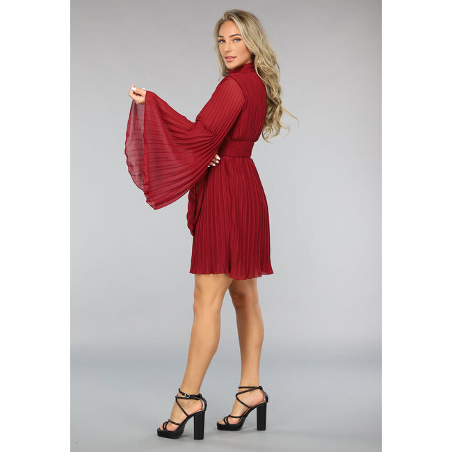 Rotes Chiffon Plissé-Skaterkleid