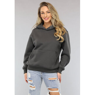 NEW0702 Basic Hoodie mit Teddyfutter in Anthrazit