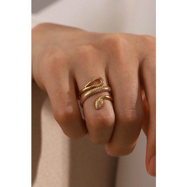Edelstahlring mit Schlange Modell
