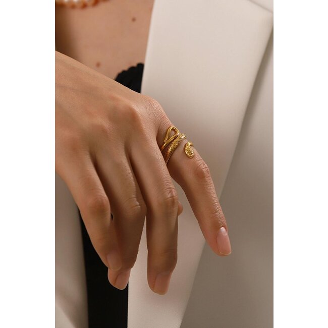 Edelstahlring mit Schlange Modell
