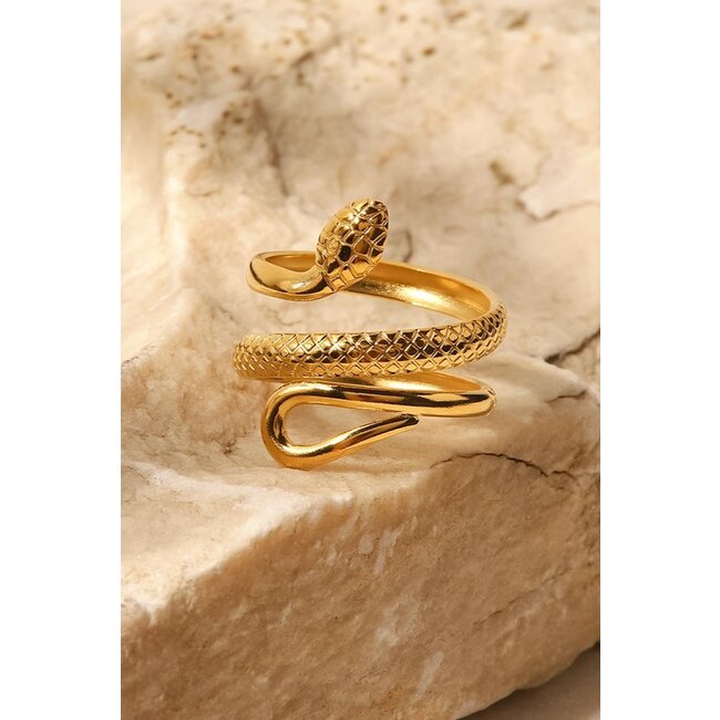 Edelstahlring mit Schlange Modell