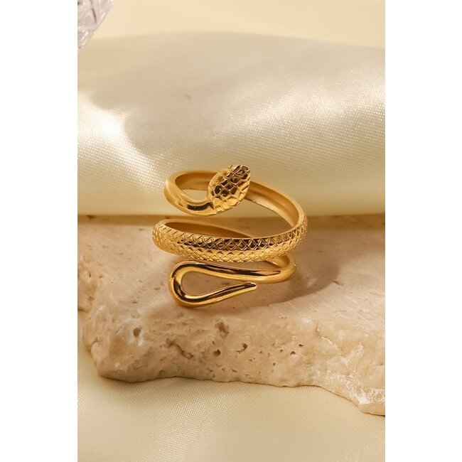 Edelstahlring mit Schlange Modell