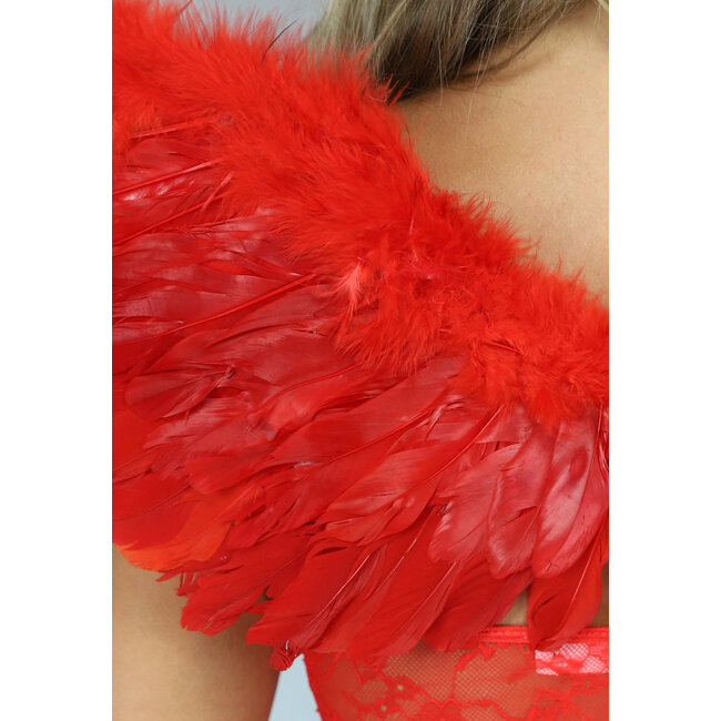 Red Devil Wings