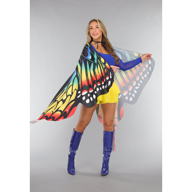Regenbogen Schmetterling