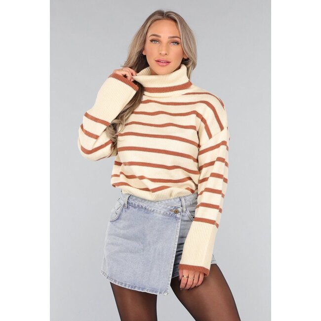 Beigefarbener Rollkragenpullover mit braunen Streifen