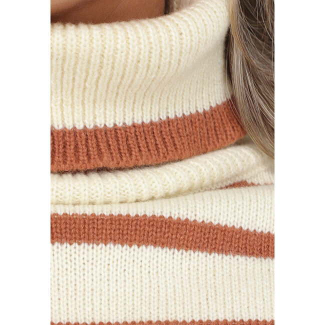 Beigefarbener Rollkragenpullover mit braunen Streifen