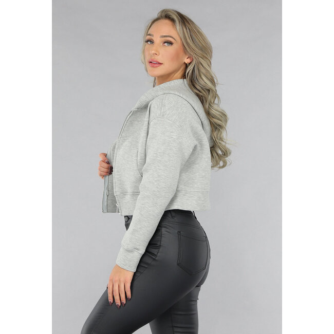 Kurze graue Strickjacke mit Kapuze