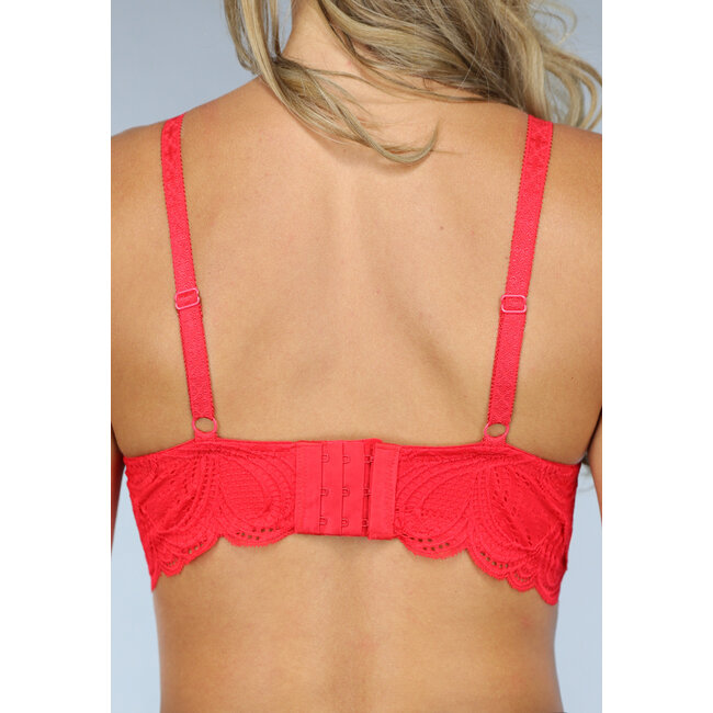 Rotes Spitzen-Crop-Top mit Wattierung