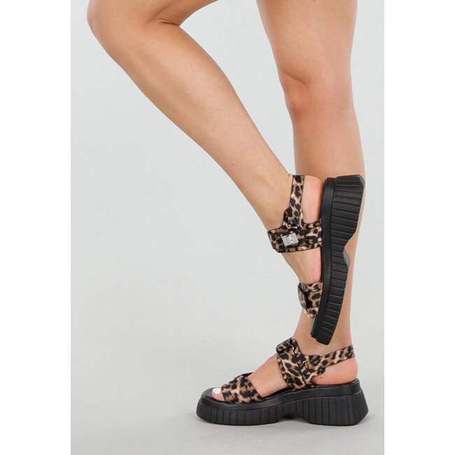 Klobige Plateausandalen mit Leopardenmuster und Klettverschluss